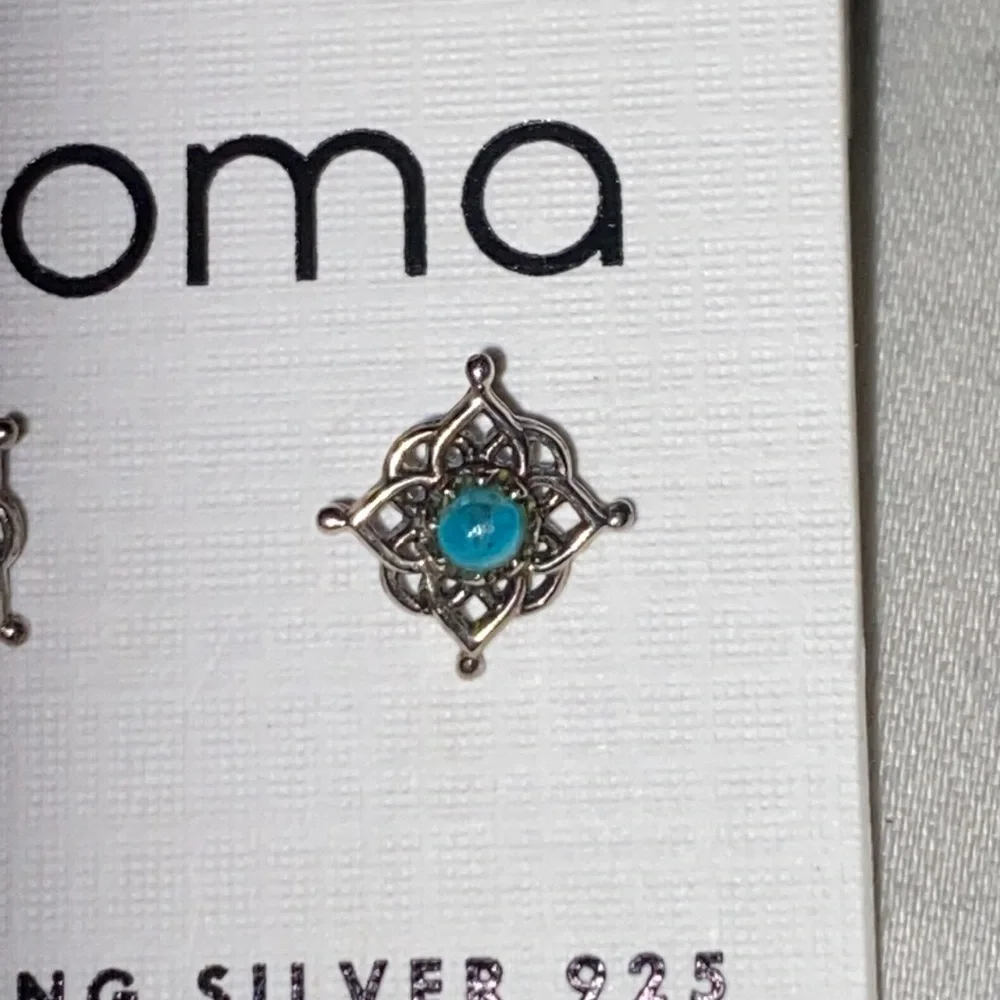 sterling‎ silver earrings, minimally used